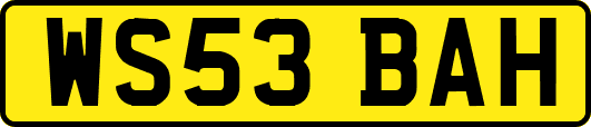 WS53BAH