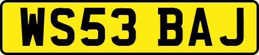WS53BAJ