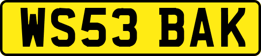 WS53BAK
