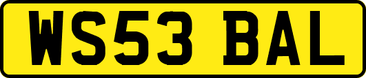 WS53BAL