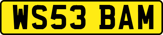 WS53BAM