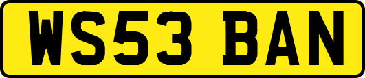 WS53BAN