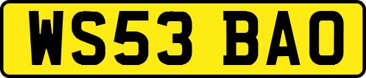 WS53BAO