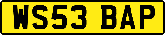 WS53BAP