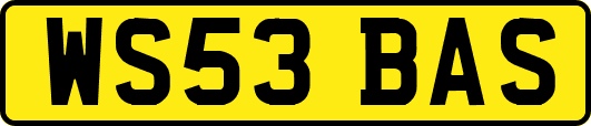WS53BAS