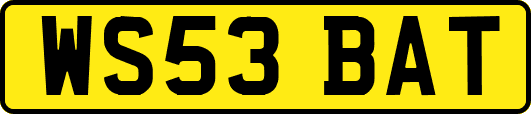 WS53BAT