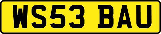WS53BAU