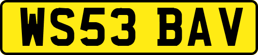 WS53BAV