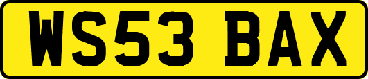 WS53BAX