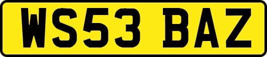 WS53BAZ