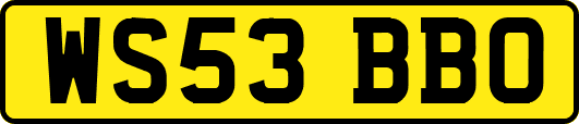 WS53BBO