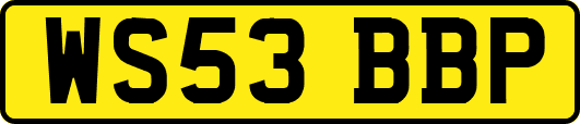WS53BBP