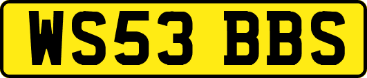 WS53BBS