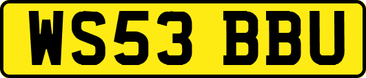 WS53BBU