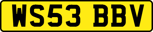 WS53BBV