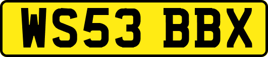 WS53BBX