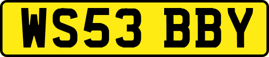 WS53BBY