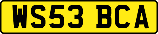 WS53BCA