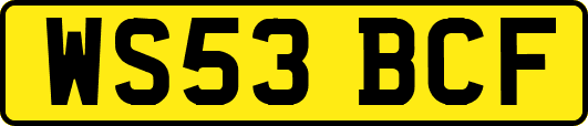 WS53BCF