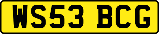 WS53BCG