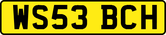 WS53BCH