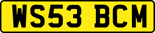 WS53BCM
