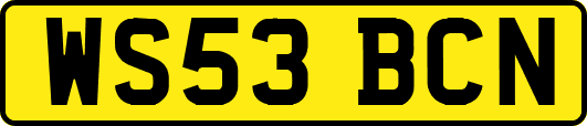 WS53BCN