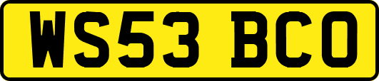 WS53BCO