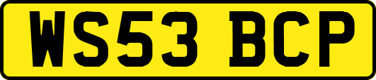 WS53BCP