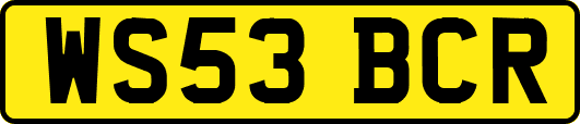 WS53BCR