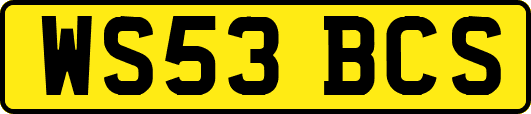 WS53BCS