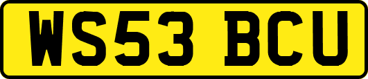WS53BCU