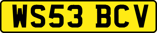 WS53BCV