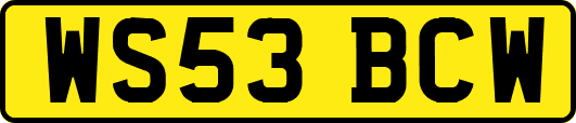 WS53BCW