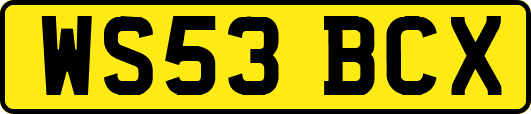 WS53BCX