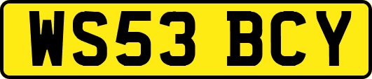 WS53BCY