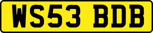 WS53BDB
