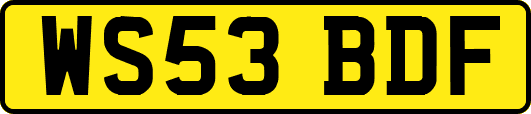WS53BDF