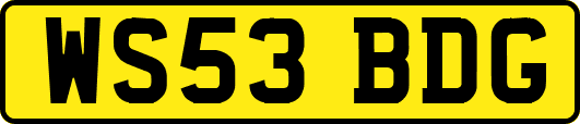 WS53BDG