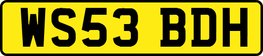 WS53BDH