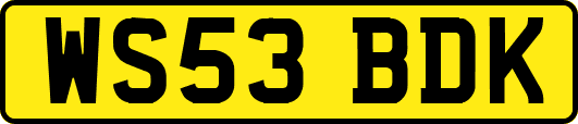 WS53BDK