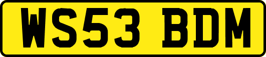 WS53BDM
