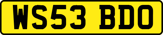 WS53BDO