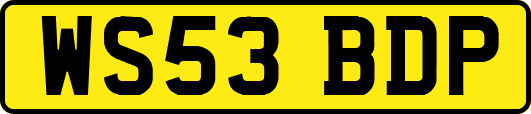 WS53BDP