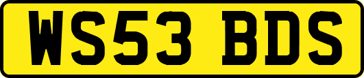 WS53BDS