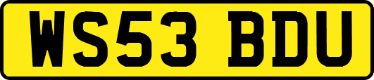 WS53BDU