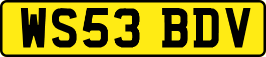WS53BDV