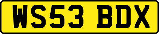 WS53BDX