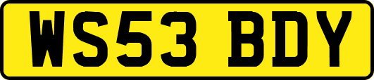WS53BDY