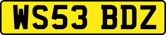WS53BDZ